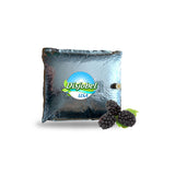 11 LBS Blackberry Aseptic Fruit Puree